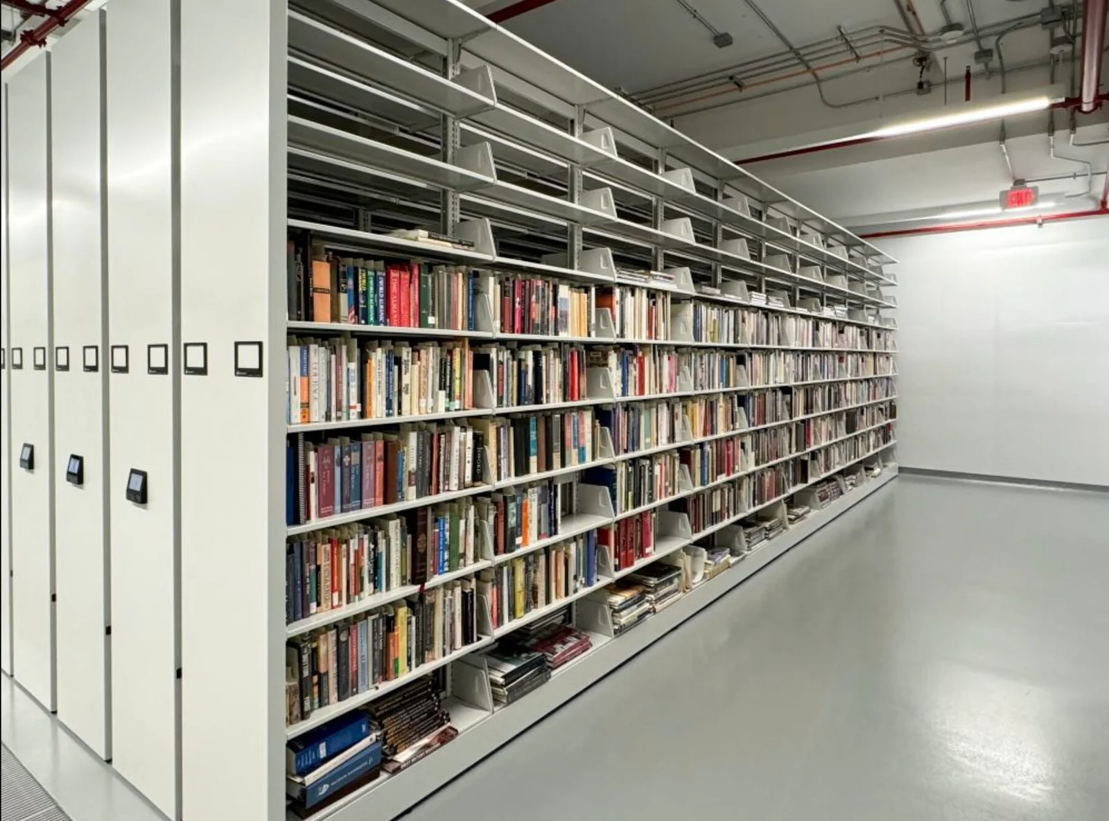 Collections & Archives